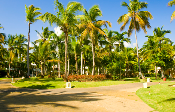 微信圖片_20251016095908_550_32.png 微信圖片_20251016095908_550_32.png